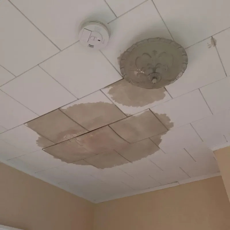 Ceiling Water Damage Repair in Belfast, PA