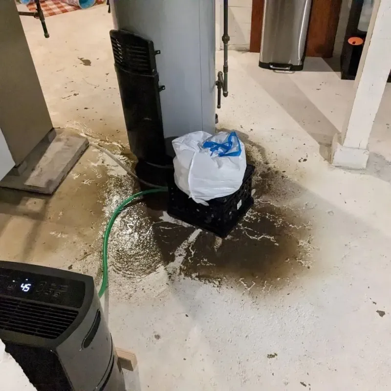 Sewage Backup Cleanup Service in Belfast, PA
